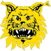 Tampereen Ilves