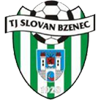 FK Bzenec Vracov