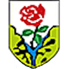 ASD Seravezza Pozzi Calcio