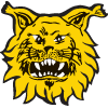Ilves Tampere