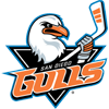 San Diego Gulls