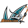 San Jose Barracuda