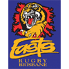 Easts Tigers